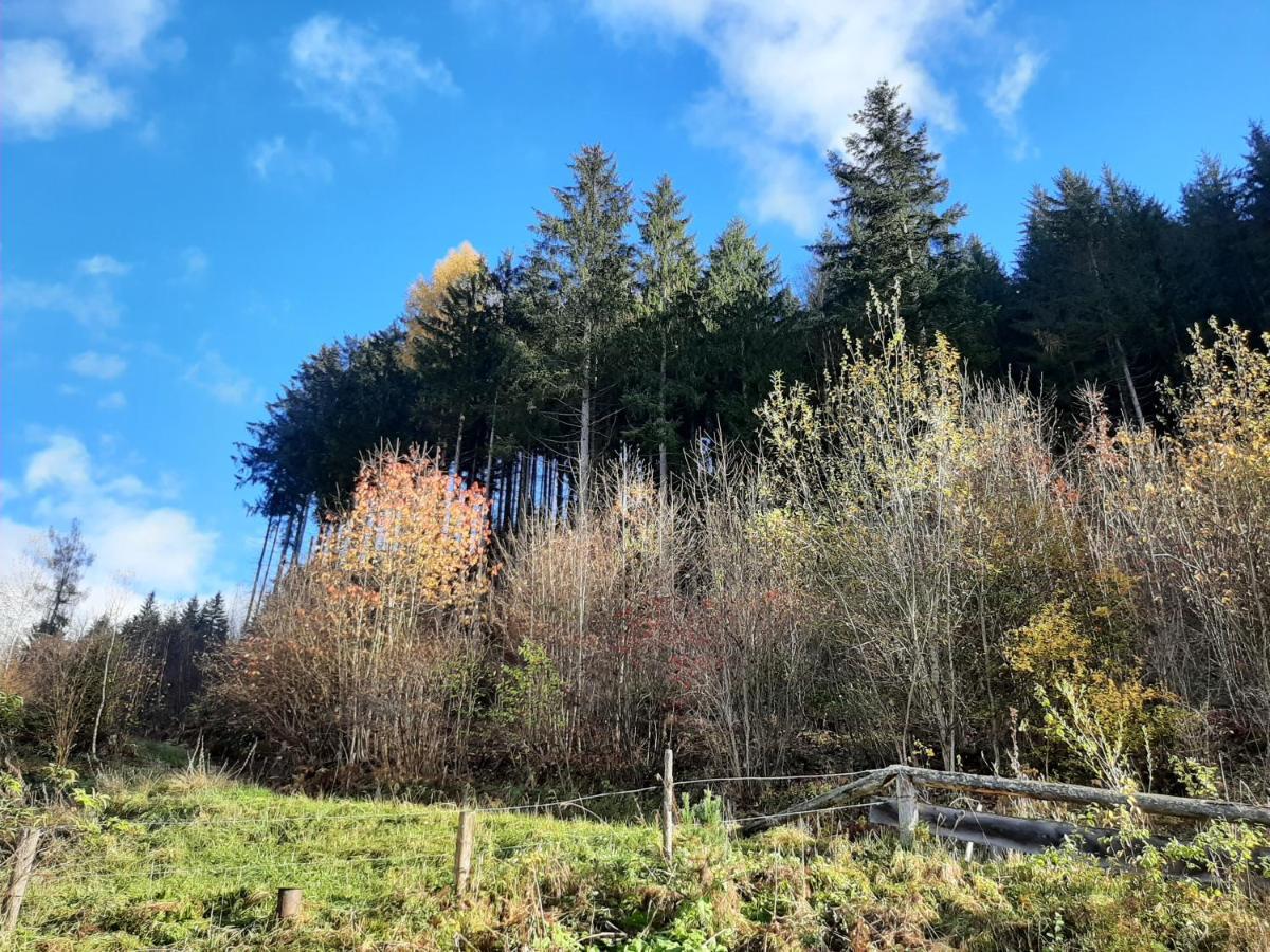 Landhaus Gschmeidler Selzthal Exteriör bild